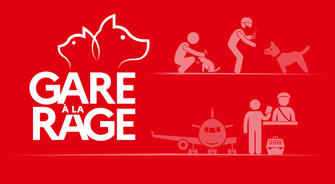 « Gare à la rage » : lancement de la campagne annuelle d'information et de prévention